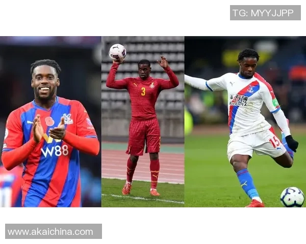 足球世界排名前十球星的技术特点与职业成就深度解析